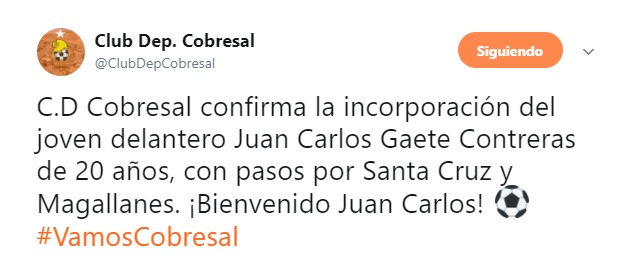 JUAN CARLOS GAETE A COBRESAL