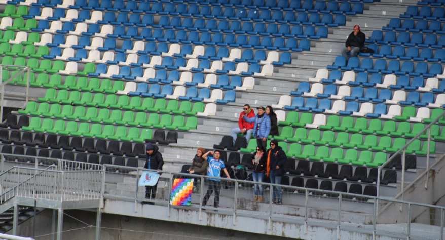 HINCHAS LLEGAN A PUERTO MONTT 2