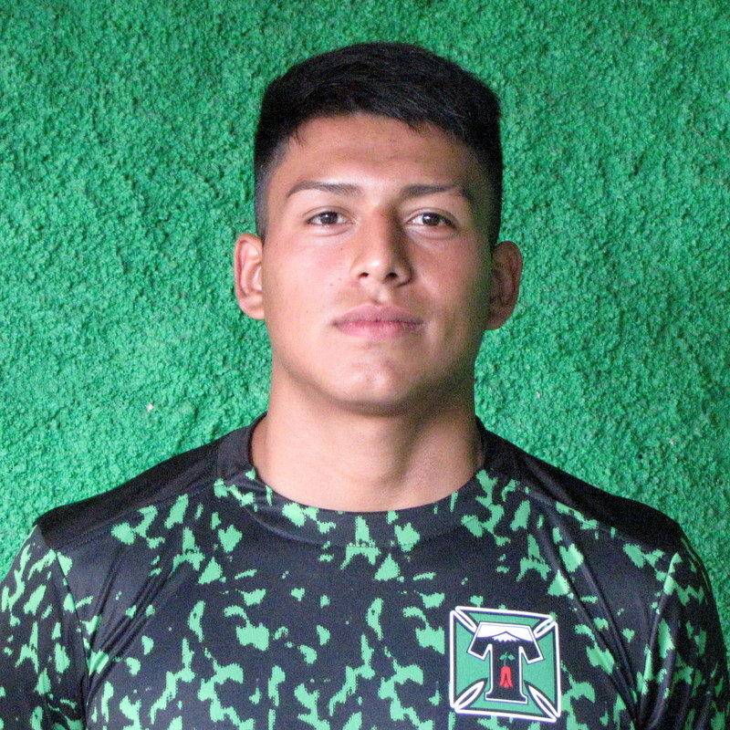Diego Sobarzo, Deportes Temuco.