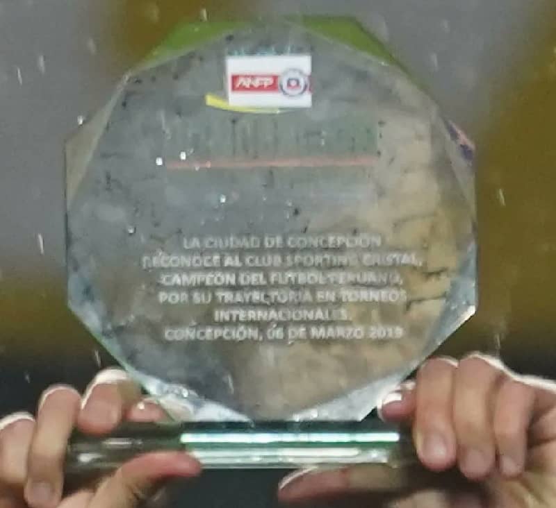 Papelón en Copa Chile con el premio entregado a la UdeC, campeón de la zona sur.