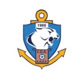 Club de Deportes Antofagasta Escudo