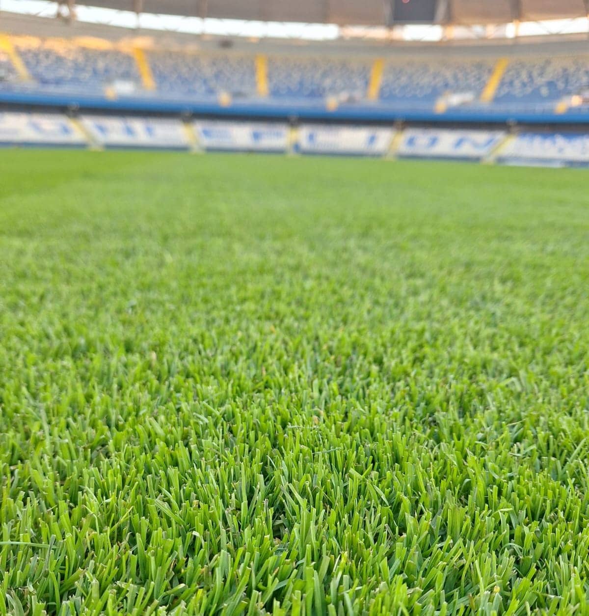 cancha 2