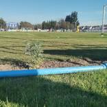 Presidente de club chileno plantó ruda en la cancha y su equipo goleó después de cuatro fechas