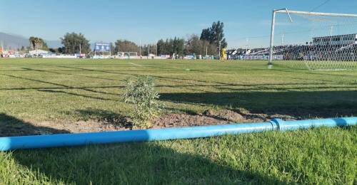Presidente de club chileno plantó ruda en la cancha y su equipo goleó después de cuatro fechas