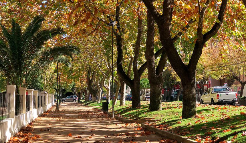 Alameda de Talca - Mundial sub 20 Chile 2025