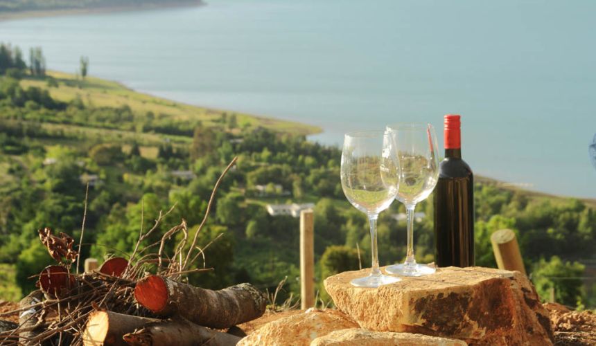 7 platos típicos de Talca para disfrutar durante el Mundial Sub 20 1 Viñas del Maule