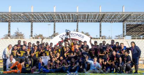 e completó la fase regular del Campeonato de Ascenso: Universidad de Concepción se situó al tope de la tabla de posiciones de Primera B, coronándose campeón del torneo y conquistando, de este modo, el ascenso a Primera División.